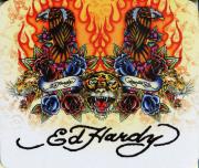 ������ ������ ��� ����� Ed Hardy �8