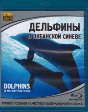 �������� � ��������� ������ (Blu-ray)
