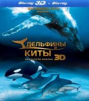 �������� � ���� ��������� ������ 3D 2D (Blu-ray)