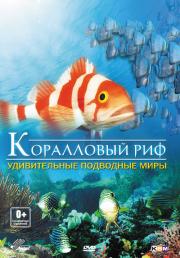 ���������� ��� ������������ ��������� ���� 3D