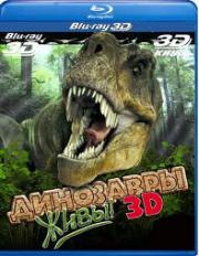 ��������� ���� 3D 2D (Blu-ray)