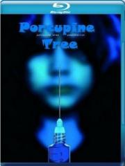 Porcupine Tree Anesthetize (Blu-ray)