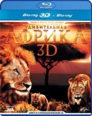   3D 2D (Blu-ray)
