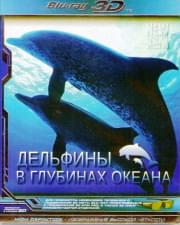 �������� � �������� ������ 3D 2D (Blu-ray)
