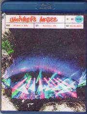 Umphreys McGee Live at Stubbs BBQ (Blu-ray)