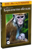 ����������� ������� (DVD   Blu-ray)