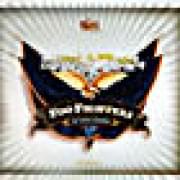 Foo Fighters - In Your Honor (2cd)